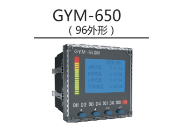 GYM-650M多(duō)功能(néng)表